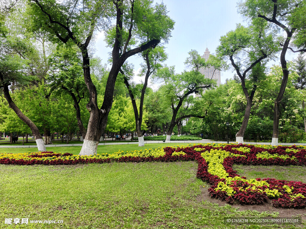 公园美丽花坛与葱郁树木