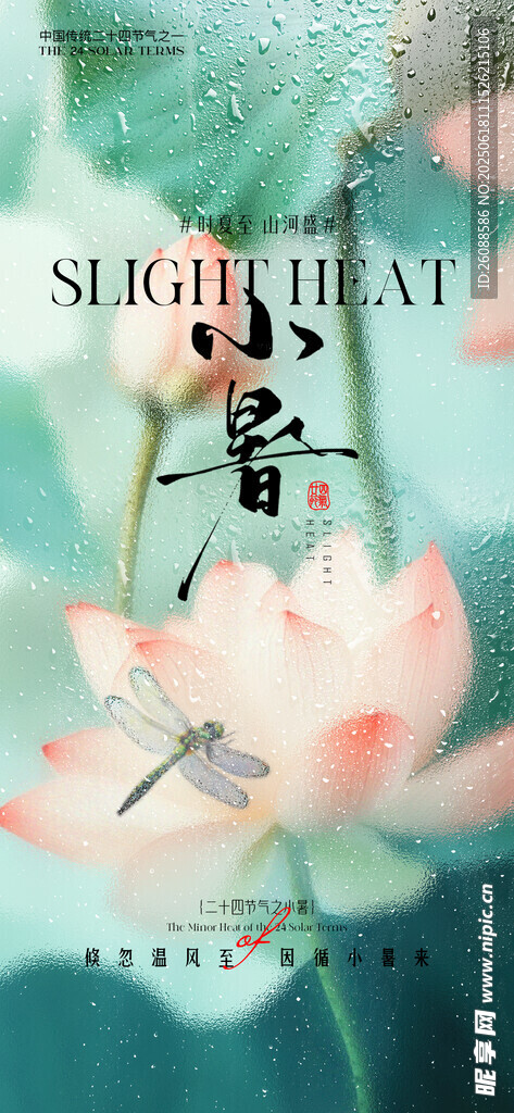 小暑荷花荷叶节气海报