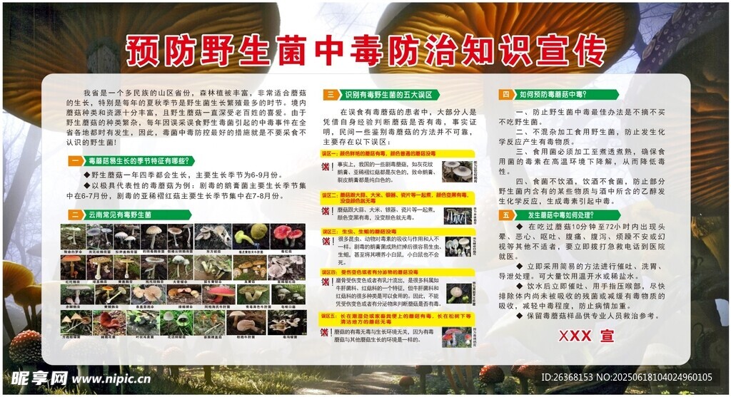 预防野生菌中毒宣传栏