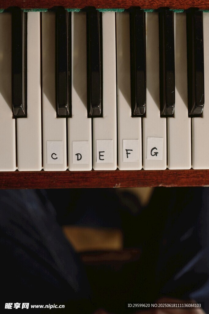  钢琴黑白琴键
