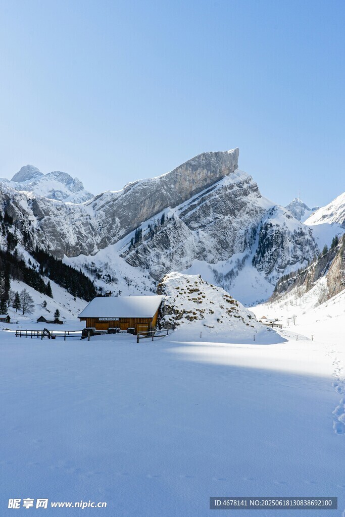 雪山下的静谧雪地风光