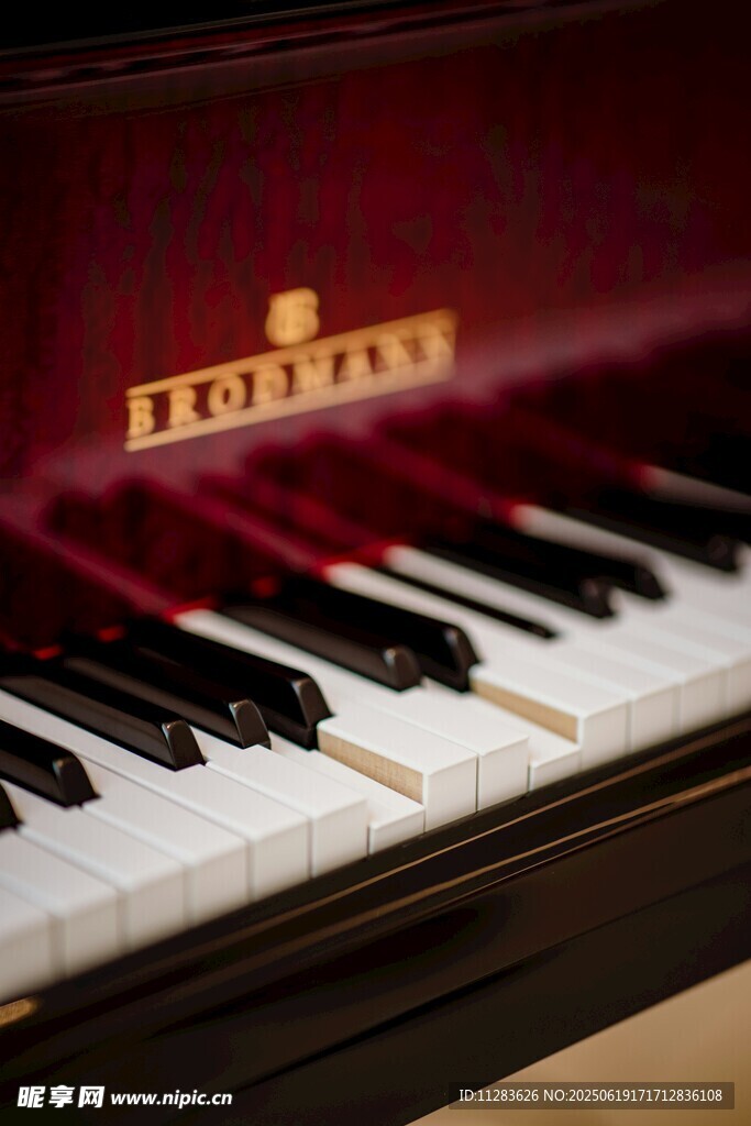 精致钢琴局部特写