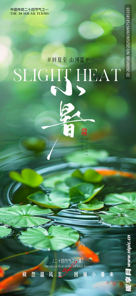 小暑大暑荷花荷叶节气海报