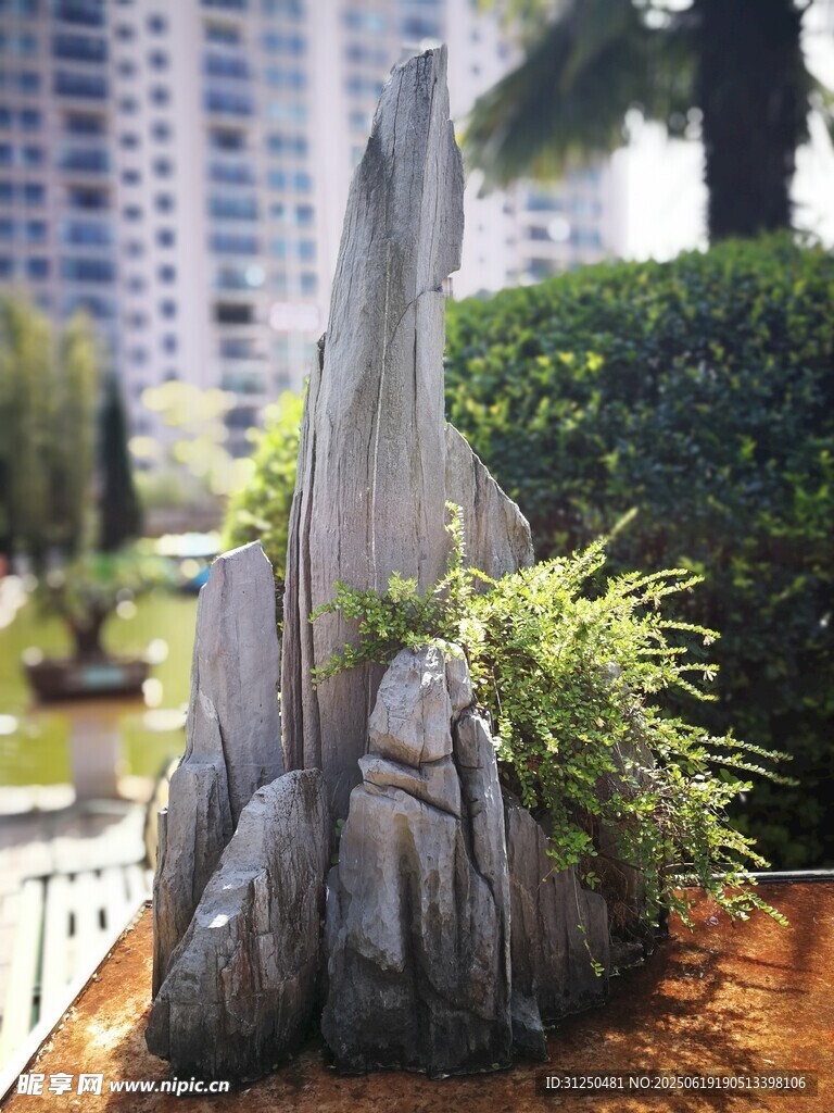 室内假山绿植景观摆件