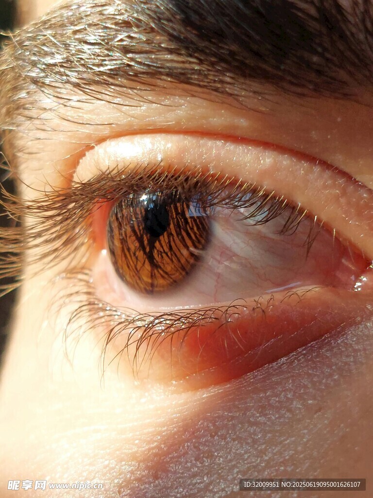 特写迷人的棕色眼眸