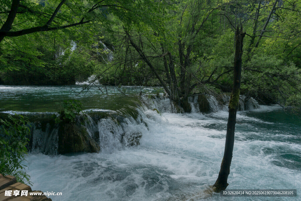 森林中的灵动瀑布景观