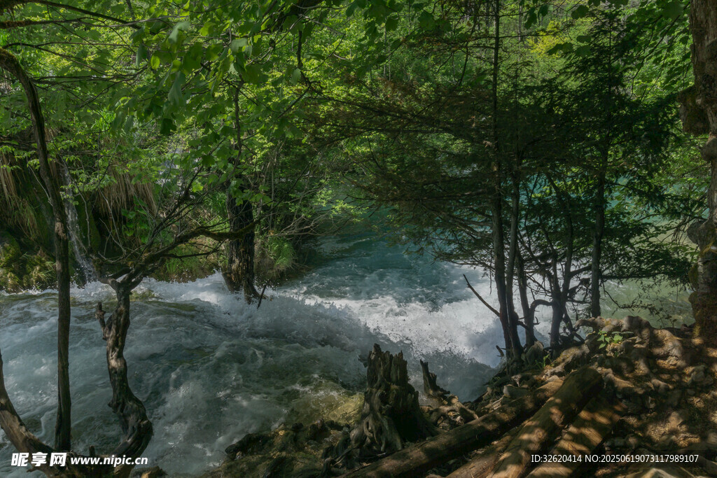 山林间湍急溪流景观
