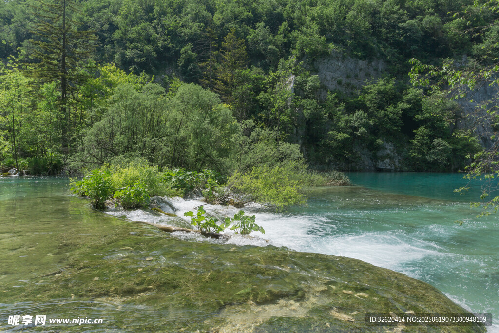 山间清澈溪流与葱郁植被