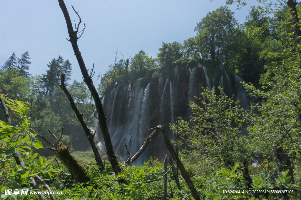 森林中的壮观瀑布景观