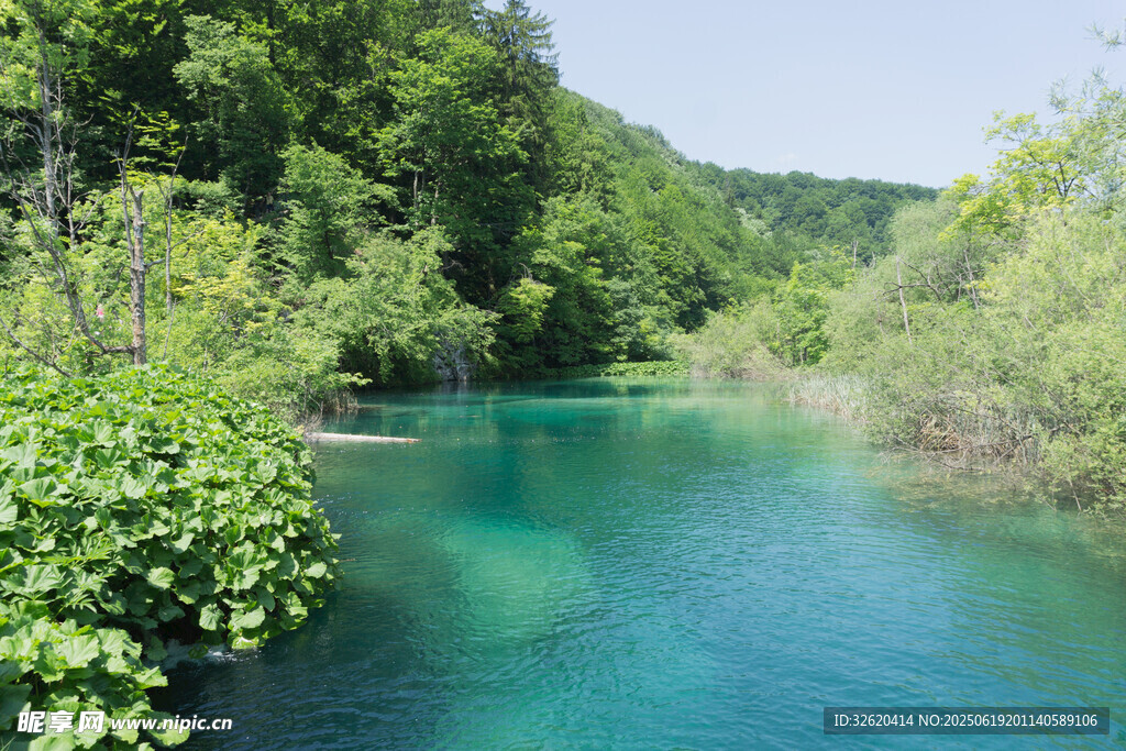 清澈碧绿的山间溪流