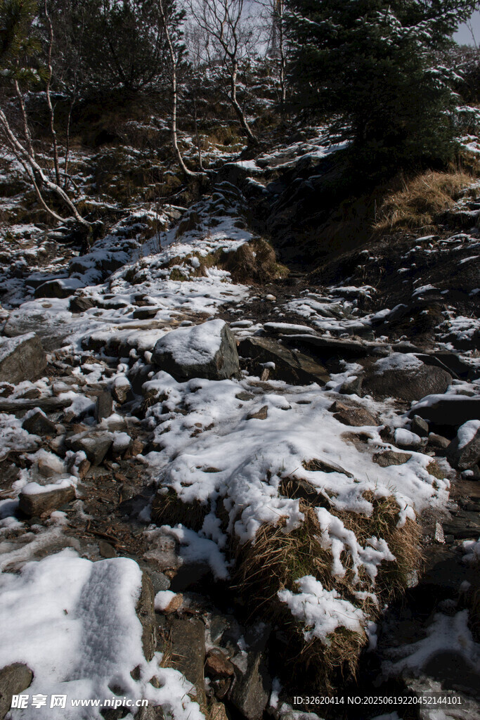 雪覆溪边岩石与树木