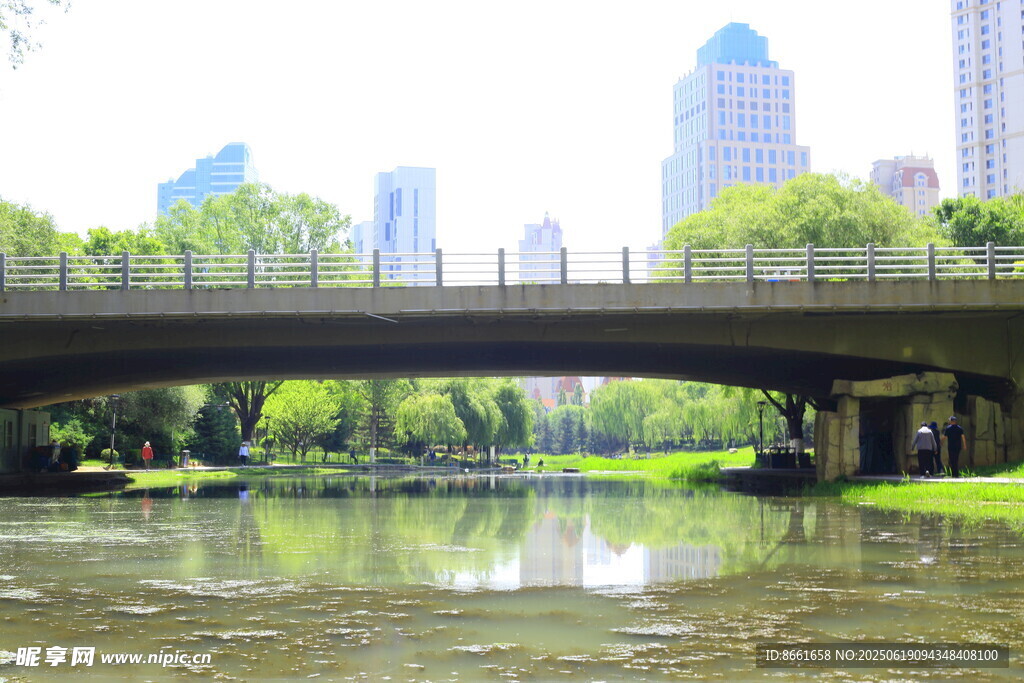 城市河畔桥梁风景图