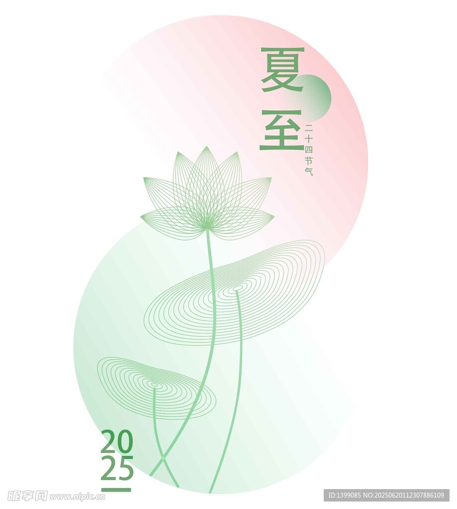 夏至二十四节气线条荷花荷叶
