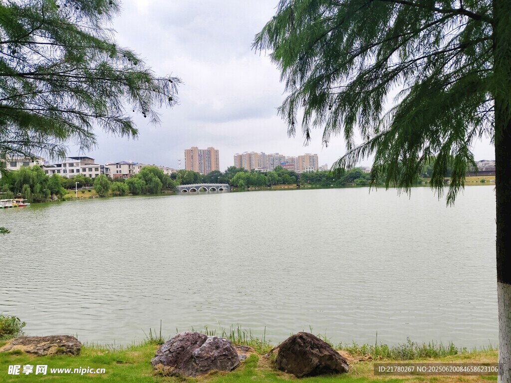 湖畔风光 绿树下的湖面