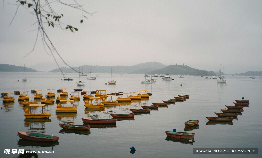 湖面上的多彩船只景观