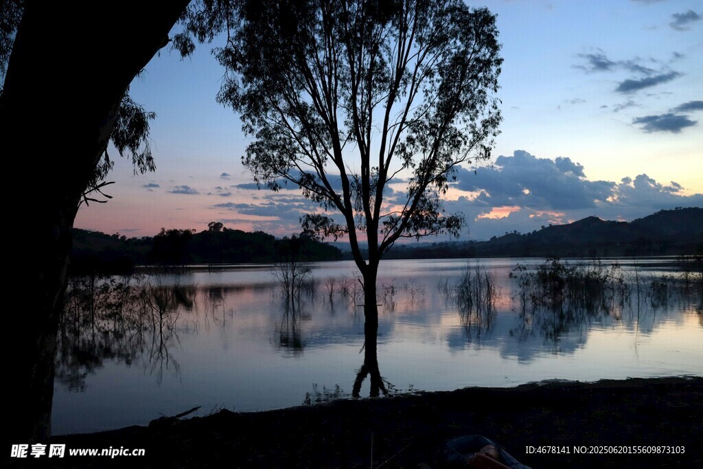 湖畔黄昏树影倒映美景
