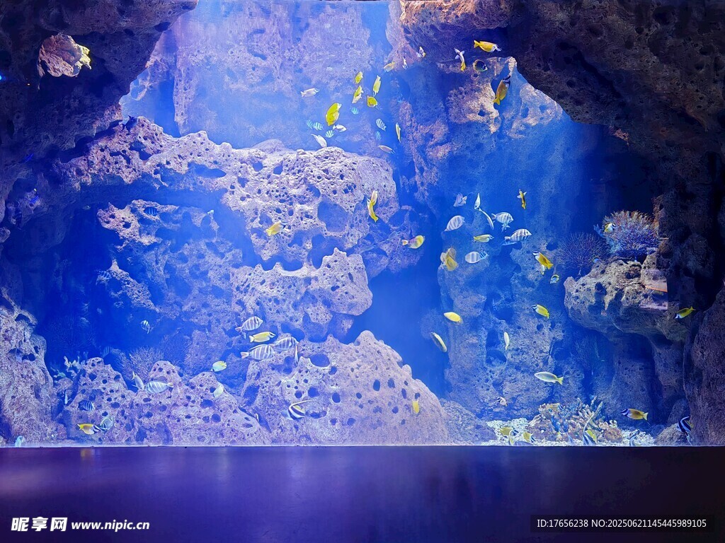 梦幻海底世界景观