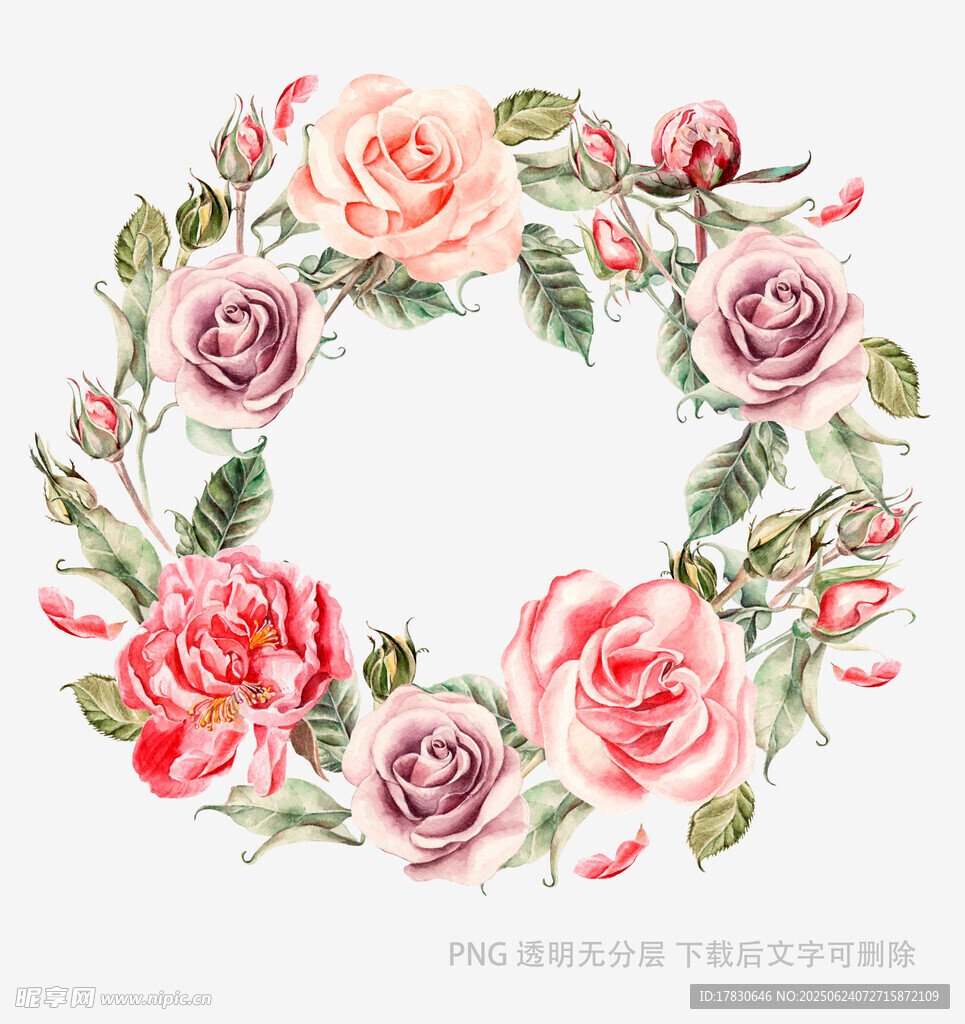 手绘玫瑰花卉花环图案