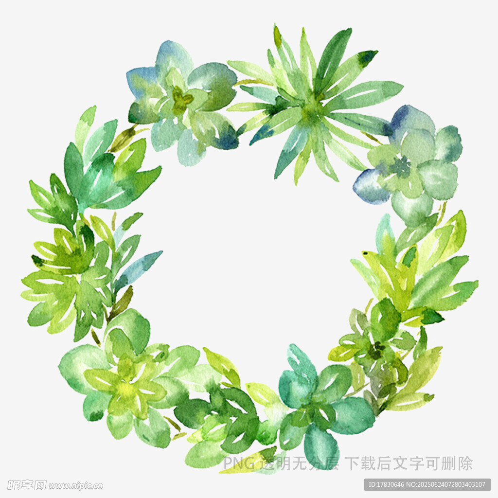 水彩风多肉植物花环