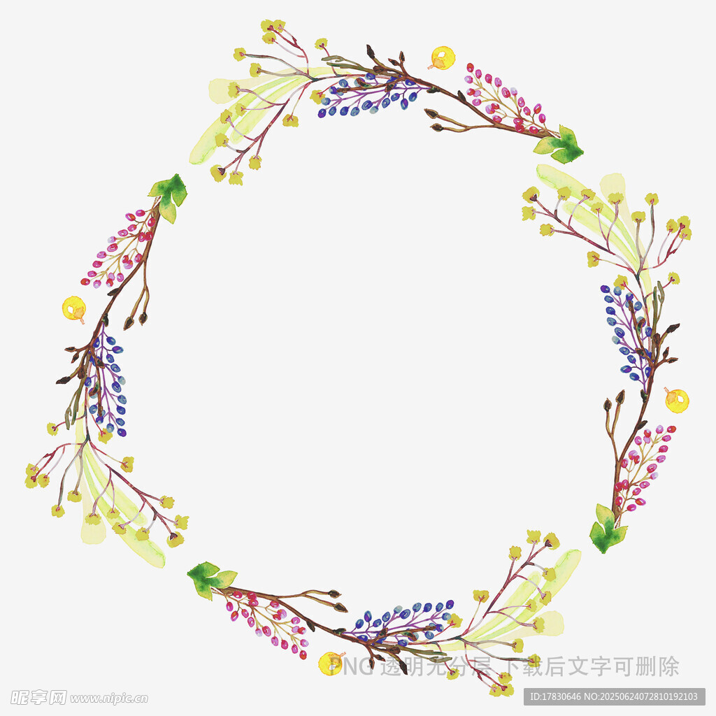 彩色花卉藤蔓圆形装饰图案