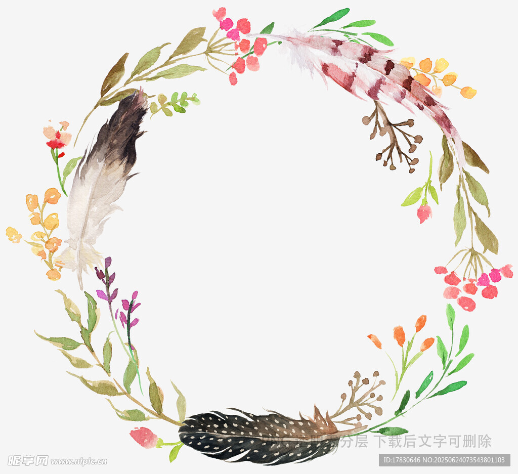 羽毛花环中的鸟巢插画