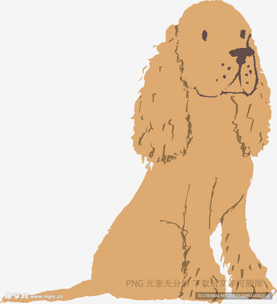 坐着的可爱棕色小狗