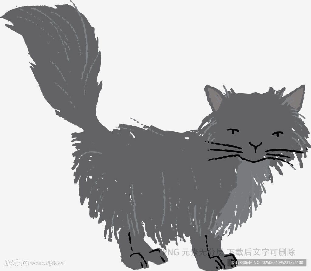 蓬松长毛猫的可爱姿态