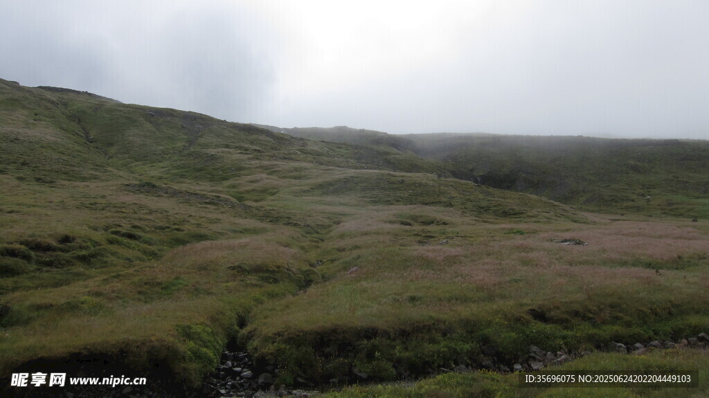 广袤绿野山丘风景