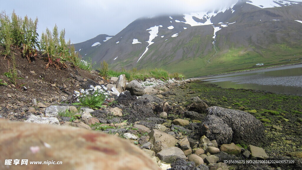 山间湖畔的碎石与绿植