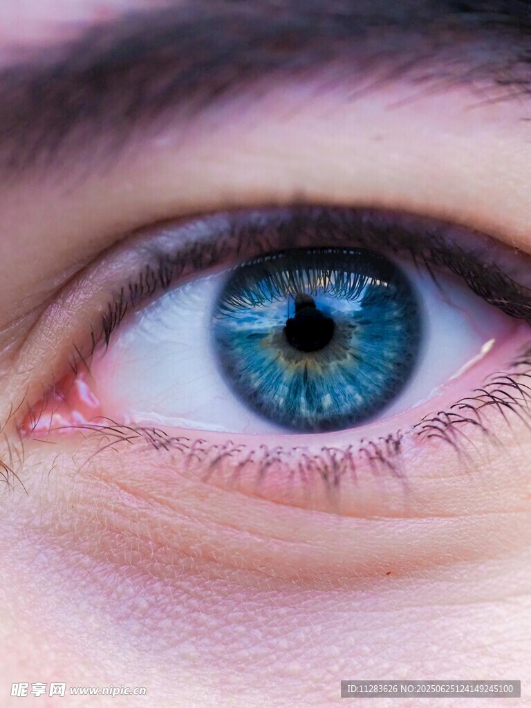 蓝色眼眸特写