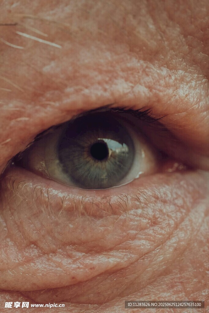 老年人的深邃眼眸