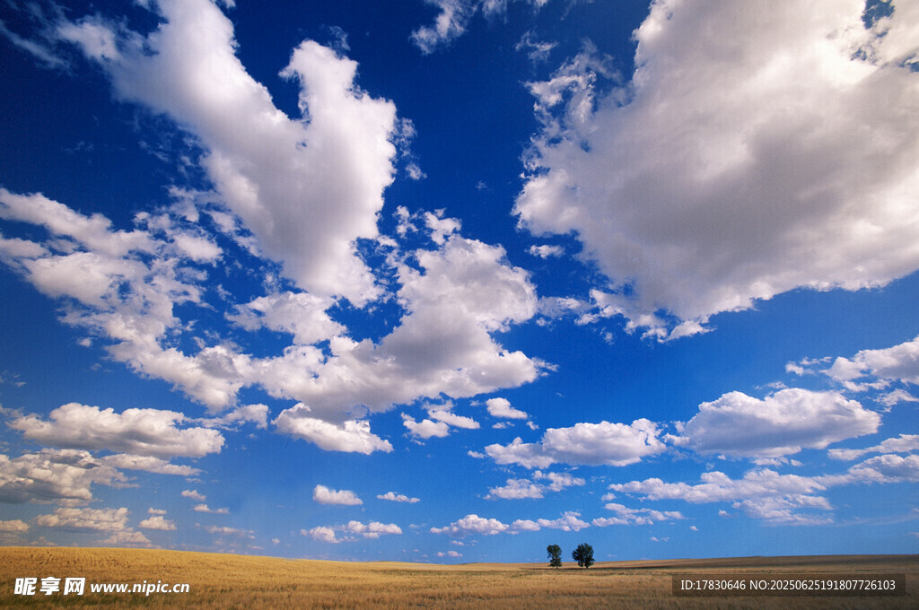 蓝天白云下的广袤田野