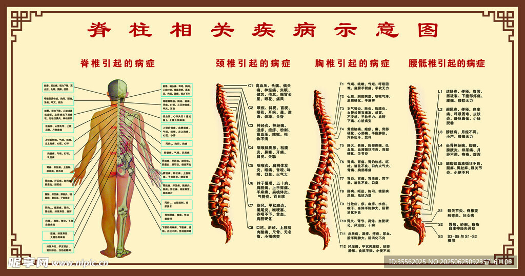 中医经络穴位示意图