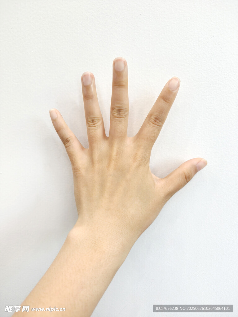 展示手部细节的特写画面