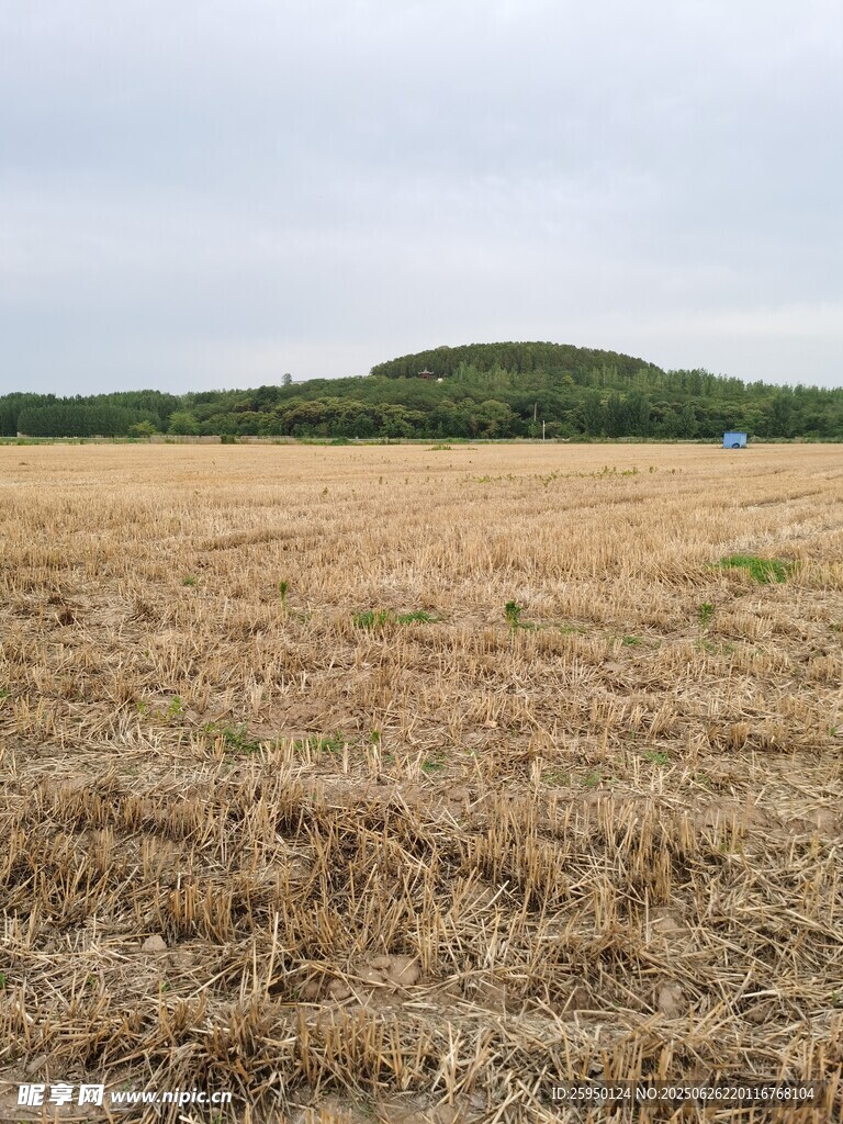麦收后的空旷田野