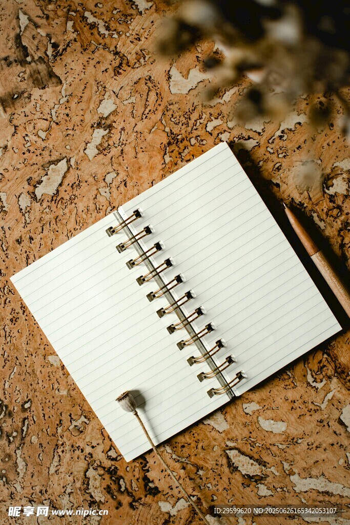 户外空白笔记本与小物