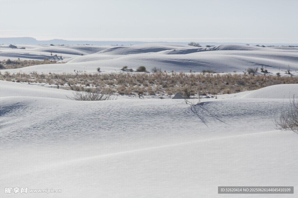 冬日雪覆原野景观