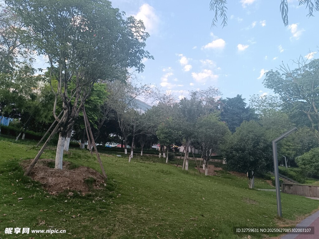 公园绿意盎然的休闲场景