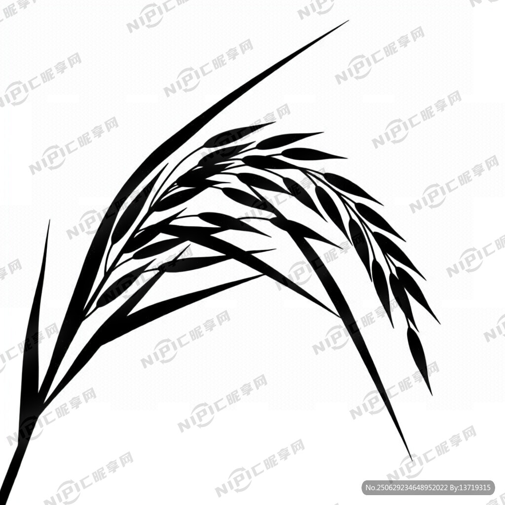 生成一株黑稻穗背景为透明