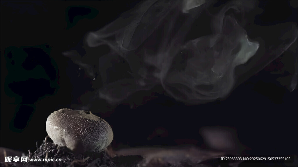 蘑菇烟雾