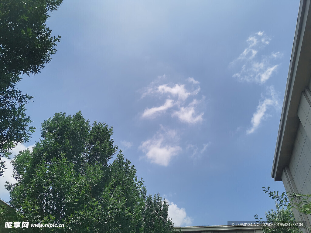 蓝天白云下的绿树与建筑