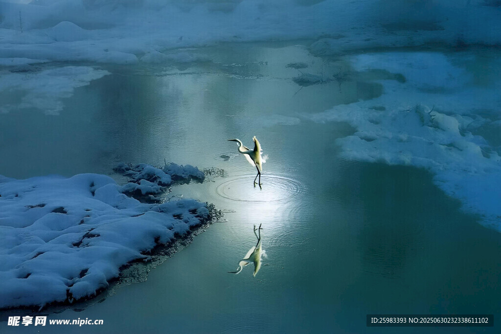 冰面仙鹤