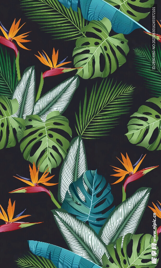 热带植物 花卉 叶子 图案