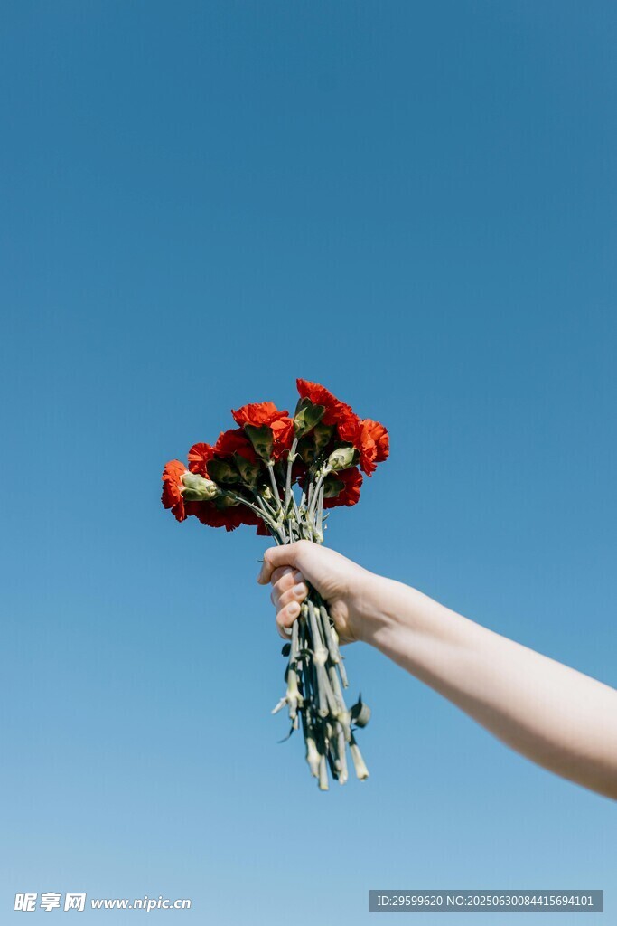 手捧红玫瑰于蓝天之下
