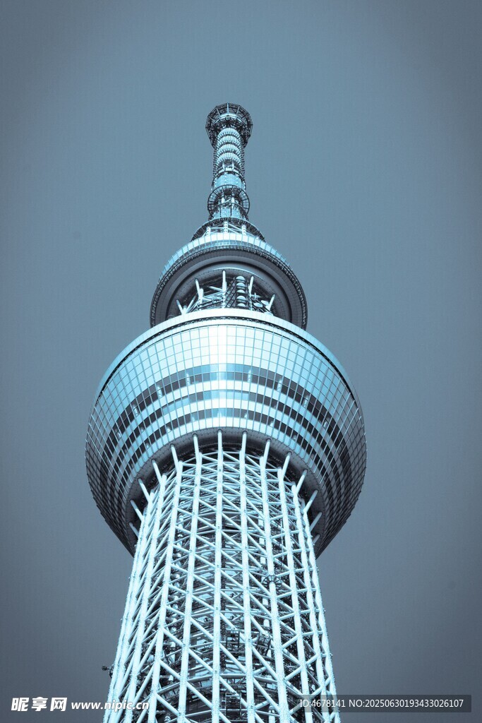 高耸入云的现代塔楼