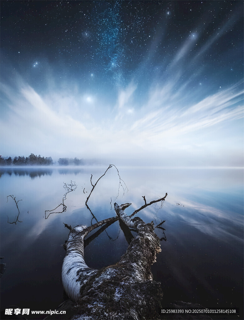 湖面枯木