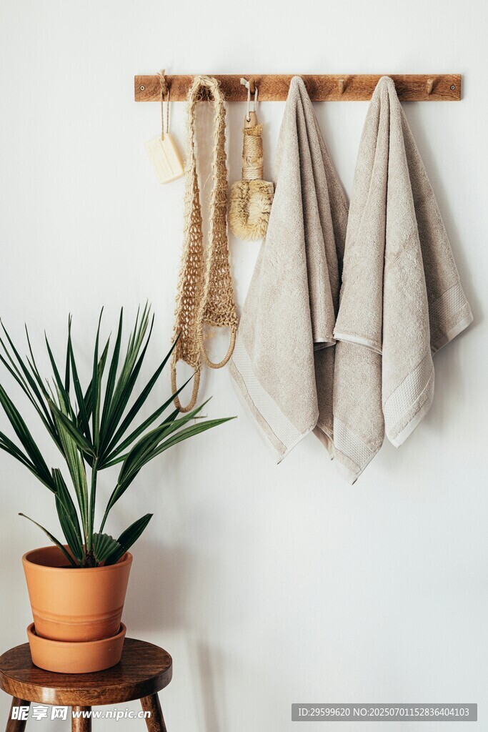 墙上挂饰与绿植温馨角落