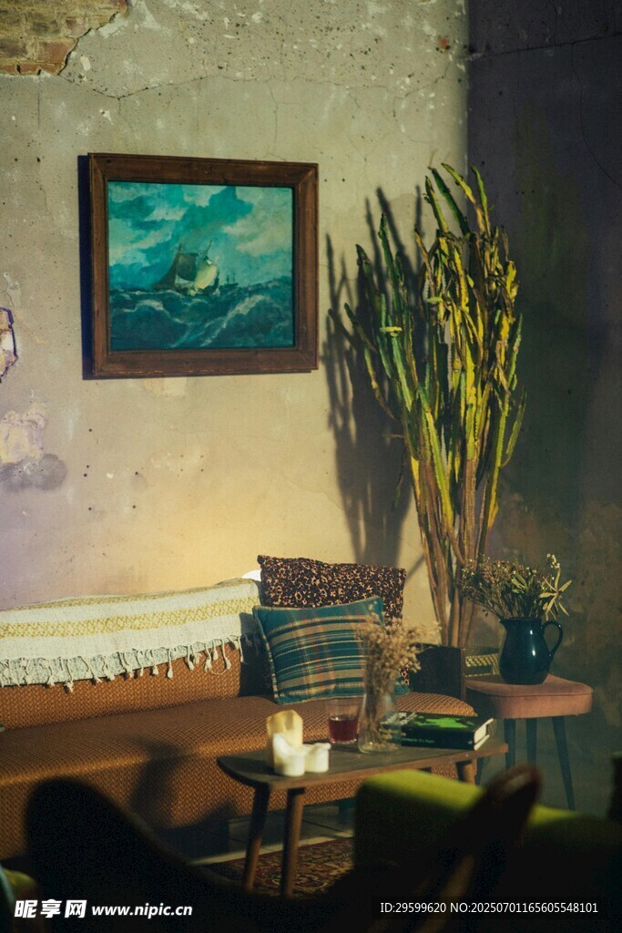 温馨室内一角的绿植与挂画