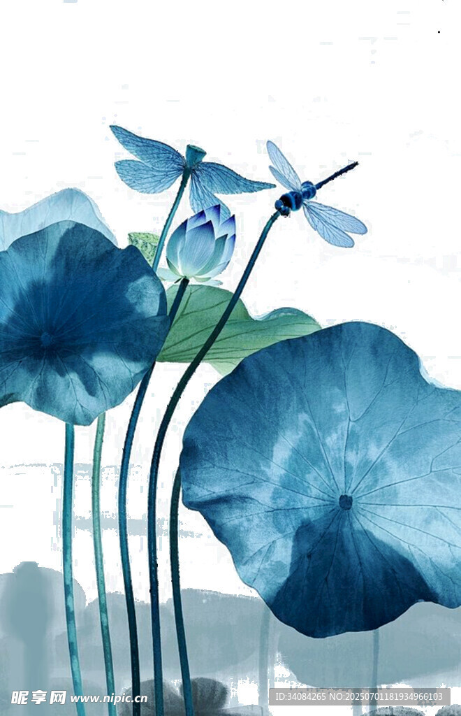 水墨风蓝调荷花与蜻蜓