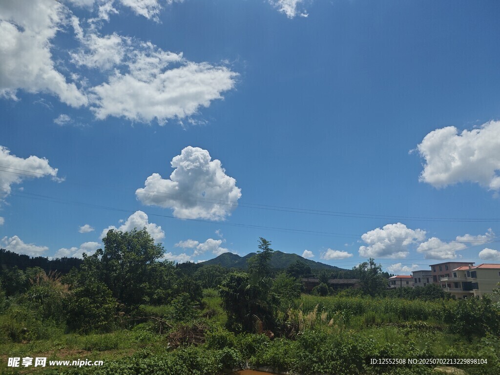 蓝天白云下的绿野风光